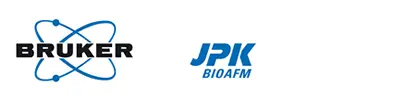 logo-bruker-jpk-bioafm-398-1 logo-bruker-jpk-bioafm-398-1
