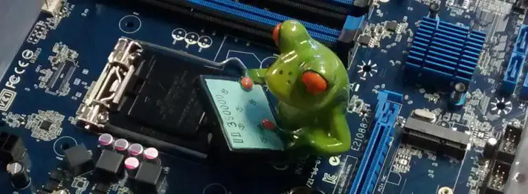 fbmainfrosch large 768x283